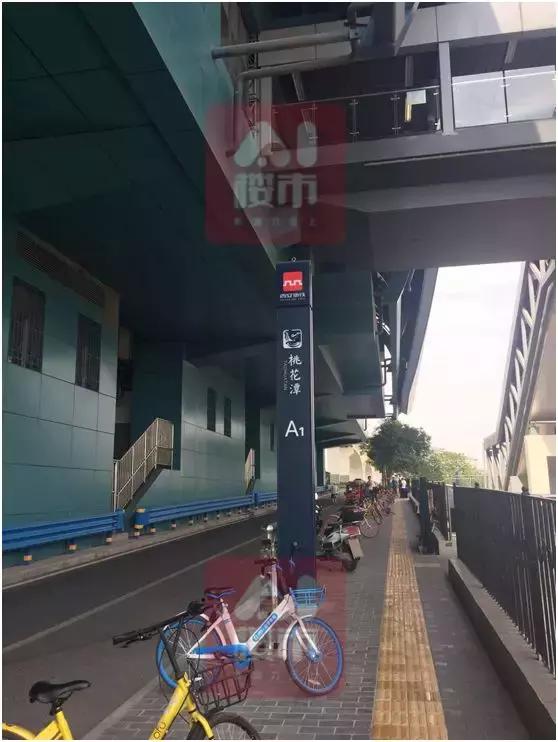 最好的地却建了最“烂”的盘？8月底“浐灞之心“自然界卷土重来