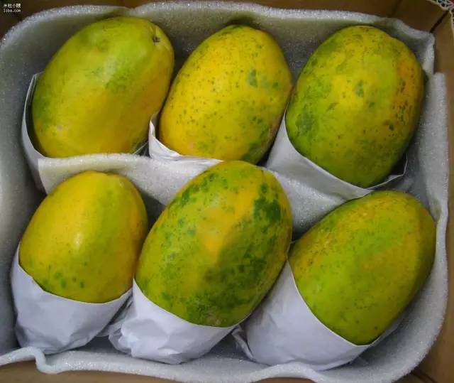 男朋友送金银花给我,男朋友送金银花怎么会感动