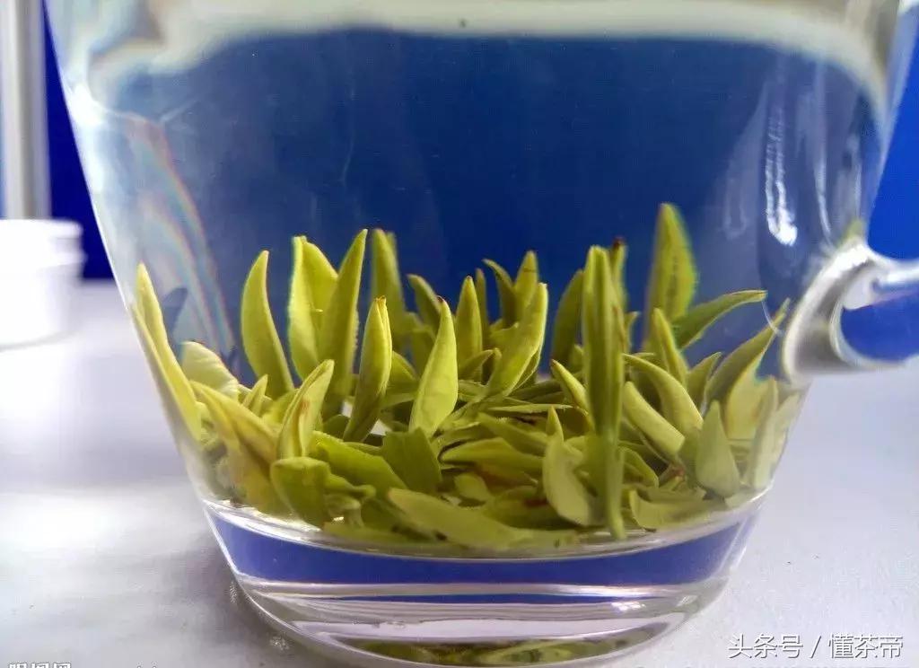 泡茶为什么要先醒茶,洗茶醒茶润茶到底有什么区别