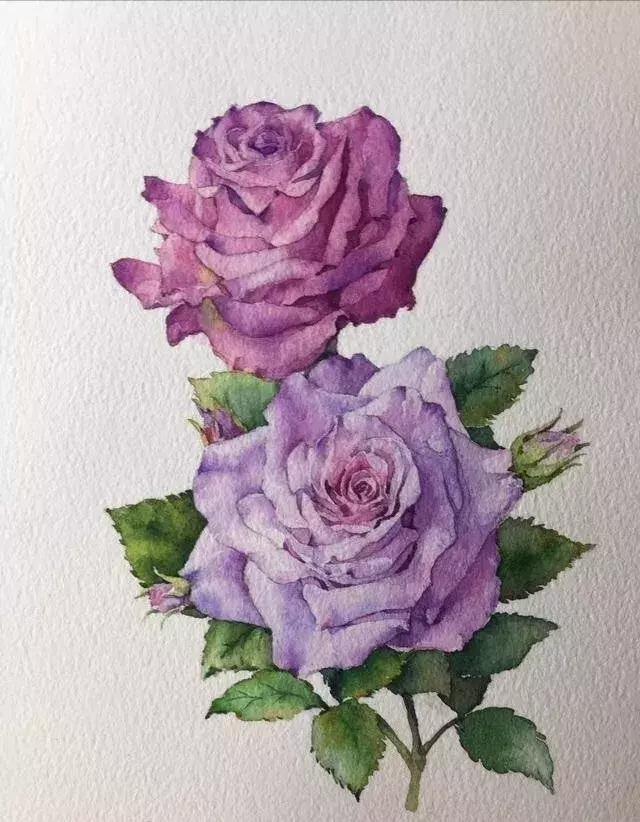 社会人“樊先生”,自带艺术气质