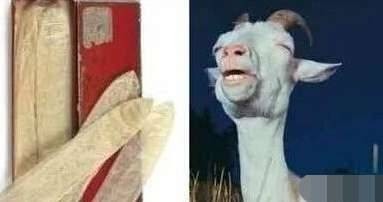 古代避孕最有效的方法,女性避孕环的使用方法