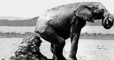 古代避孕最有效的方法,女性避孕环的使用方法