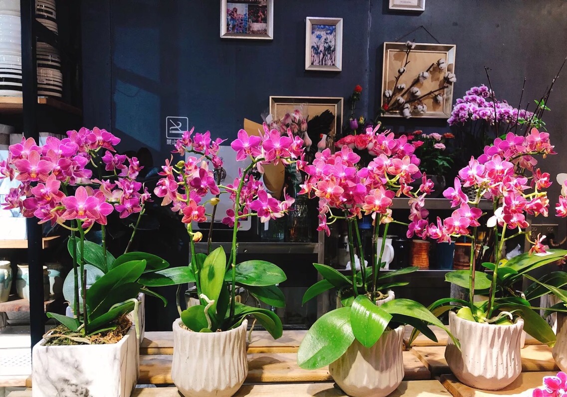 情人节鲜花厦门,情人节不想送玫瑰花