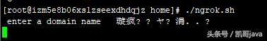 ngrok内网穿透教程linux,比ngrok更稳定的内网穿透