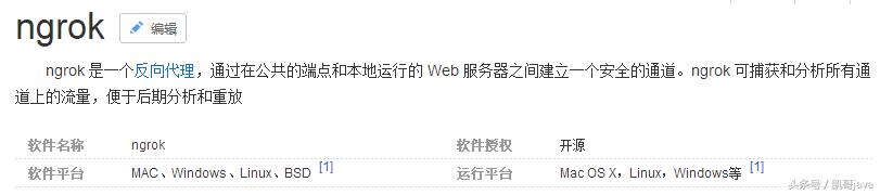 ngrok内网穿透教程linux,比ngrok更稳定的内网穿透