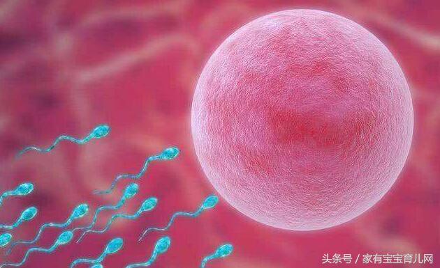 排卵期和排卵日都有哪些症状,排卵期的十个征兆