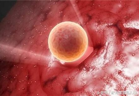 排卵期和排卵日都有哪些症状,排卵期的十个征兆