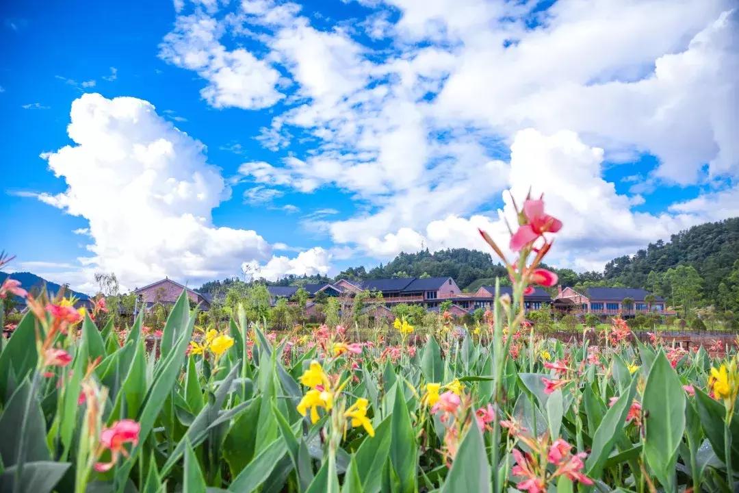 七夕将至，黄姚花海正值赏花期，相约一场简单爱！