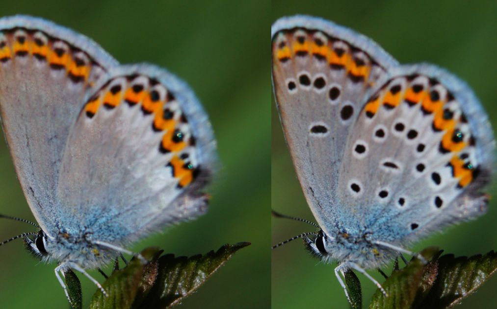 photoshop修复污点,photoshop修复工具快捷键