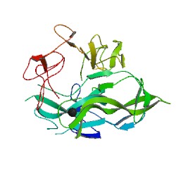 神经再生细胞新药,鼠神经生长因子新药