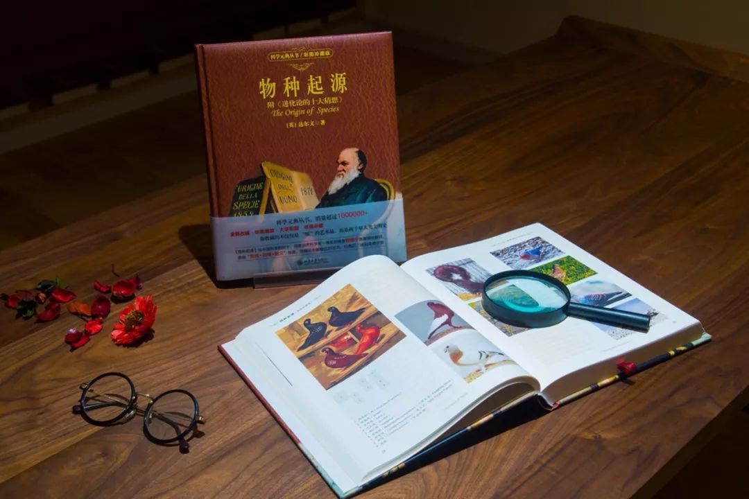 舒德干物种起源,舒德干进化论起源