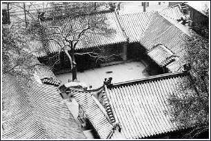 未来的房子,未来的房子是什么样的