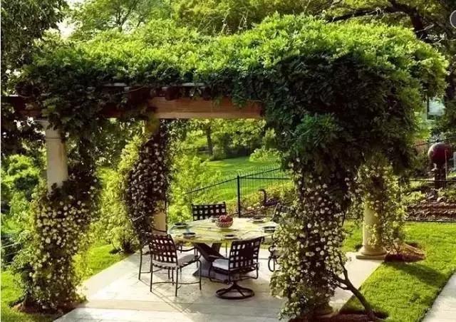 未来的房子,未来的房子是什么样的