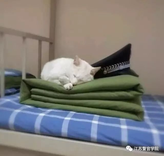 高中新生入学宿舍安排流程,2020级新生入学报到