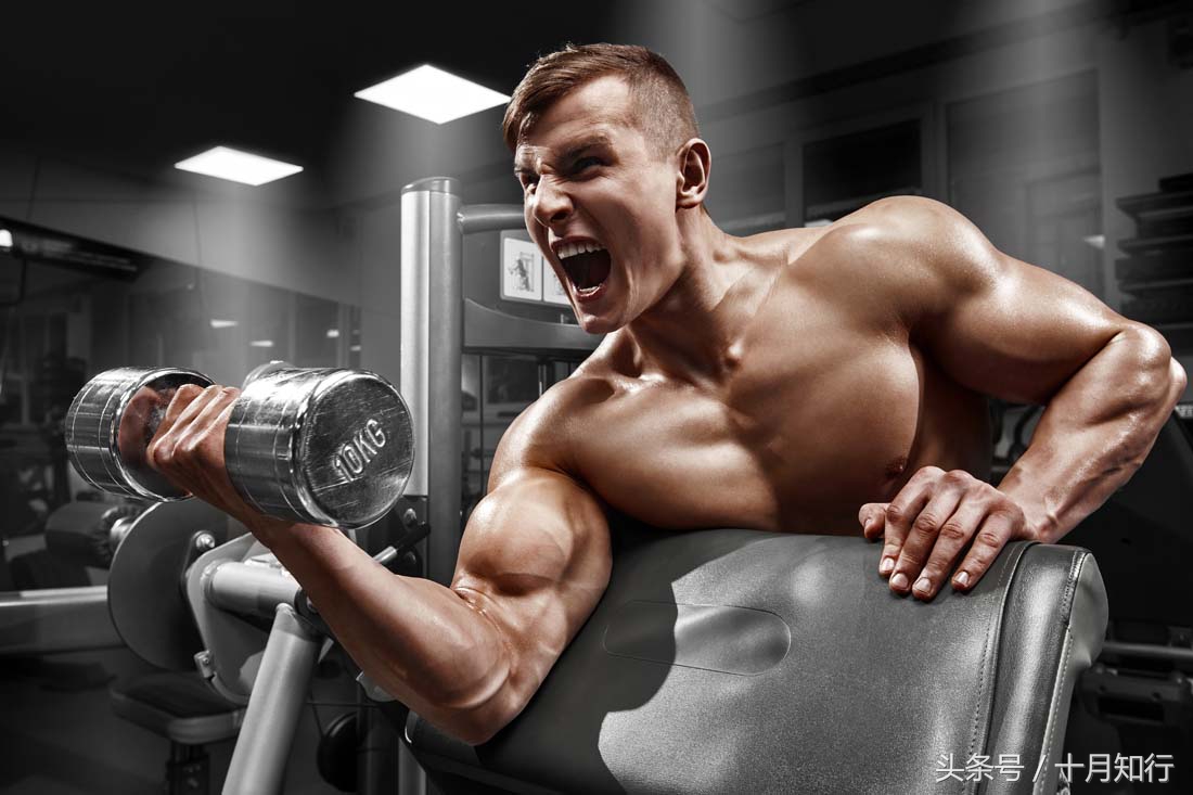 一对哑铃在家如何练出倒三角身材,哑铃练倒三角身材怎么练