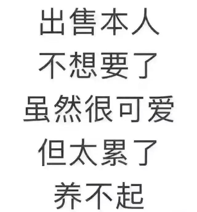 明星高级私人教练具备什么能力,明星当教练有多严格