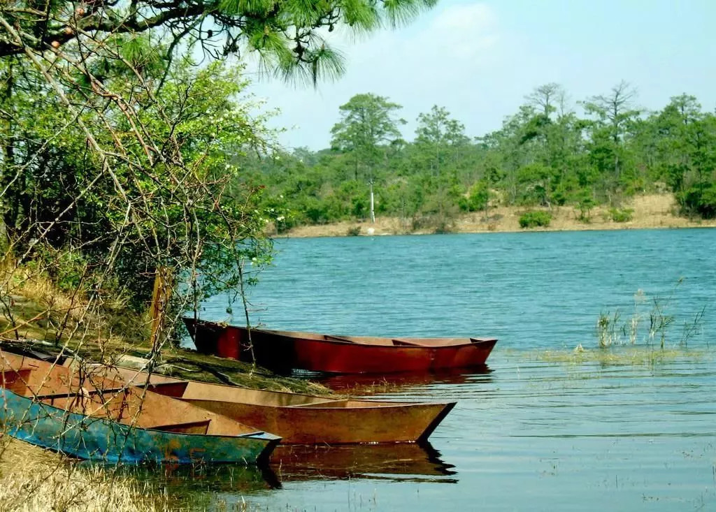 亲子游必去的地方,一周亲子游路线推荐