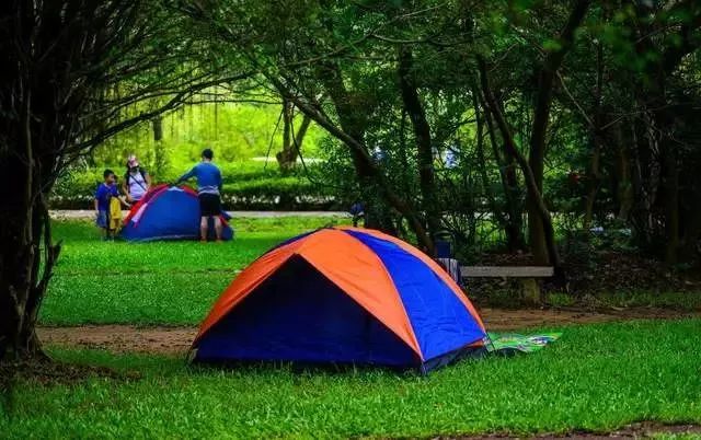 亲子游必去的地方,一周亲子游路线推荐