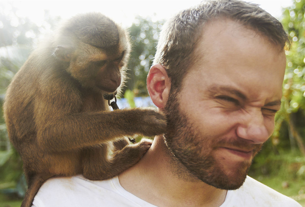 乔治马丁全部作品,乔治马丁最新作品