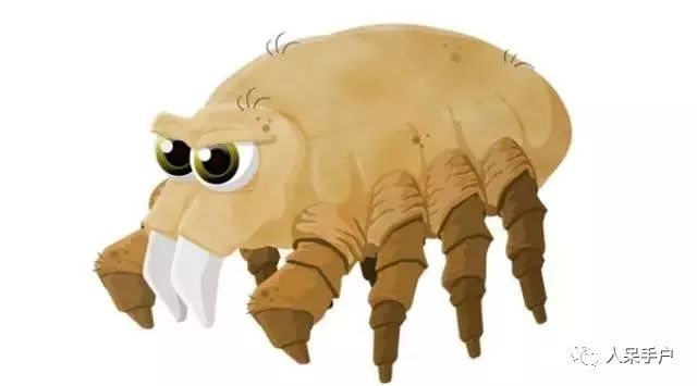 除螨那些事儿,关于除螨的那些事