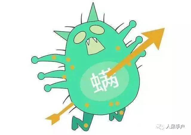 除螨那些事儿,关于除螨的那些事