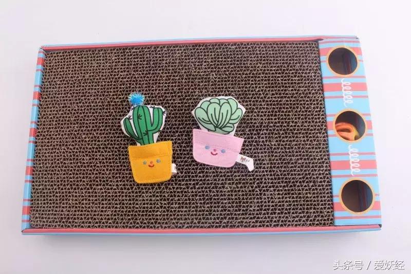 怎么让猫咪爱上猫抓板,猫咪喜欢猫抓板的表现