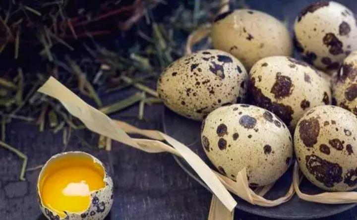 如何防止盆底烂根发生,十种不烂根的盆底垫