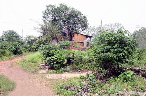 绘画技法手法,绘画教程色彩与光影