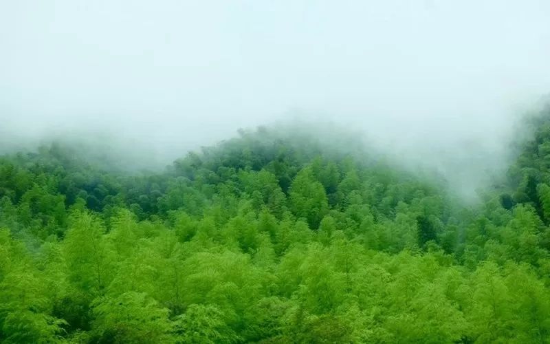 上海附近clubmed酒店,中国第一家clubmed度假村