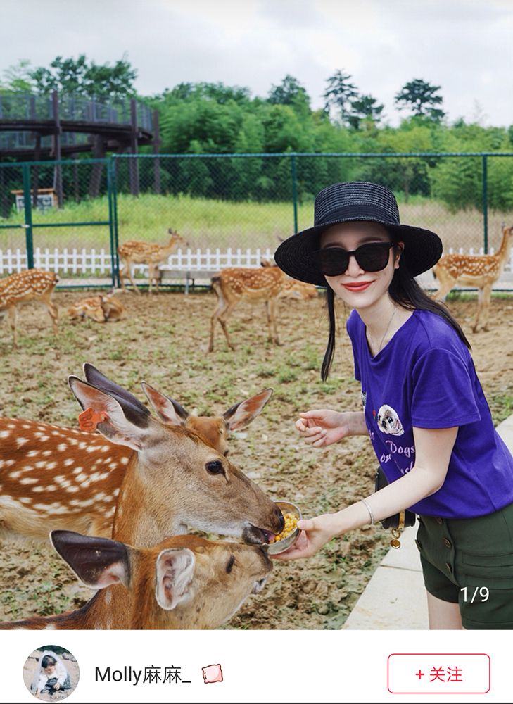 上海附近clubmed酒店,中国第一家clubmed度假村