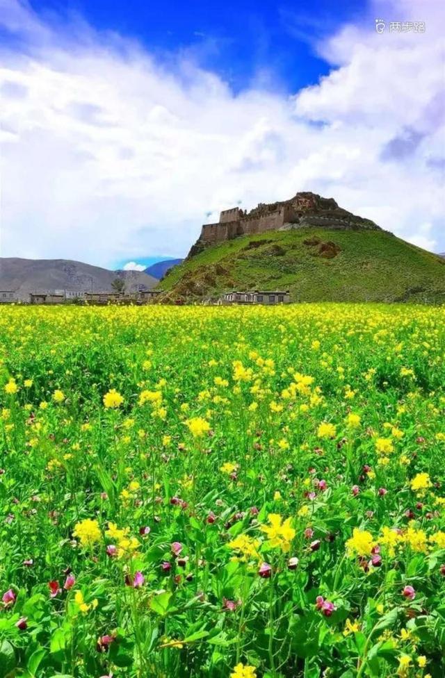 成都出发色达稻城亚丁5日游攻略,成都去色达稻城行程规划