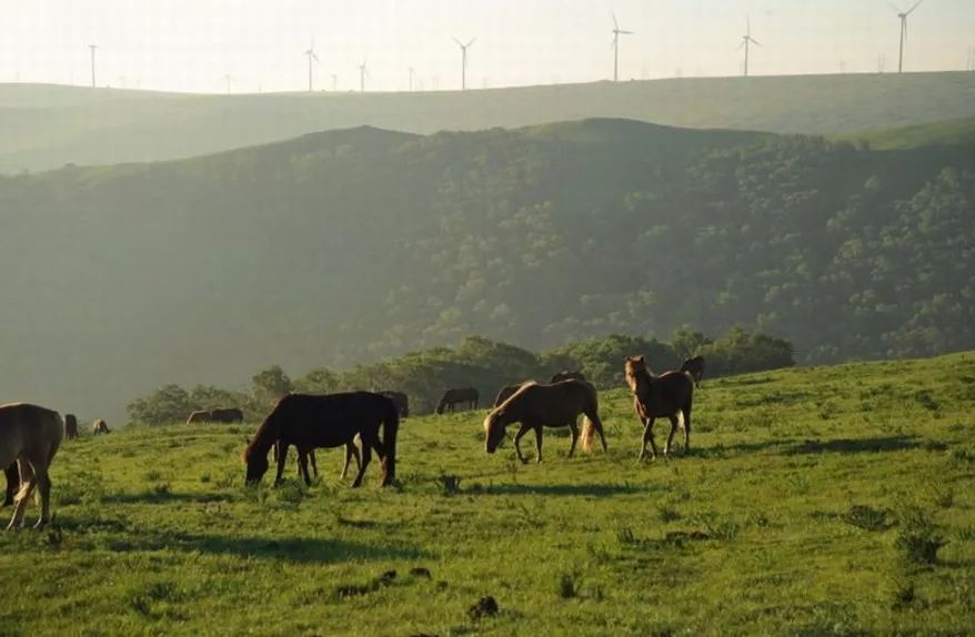 乌兰察布属于什么类型的城市,乌兰察布是什么地貌