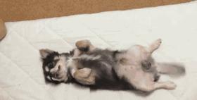 女朋友老是喜欢睡觉好吗,女朋友老是爱睡觉是啥原因