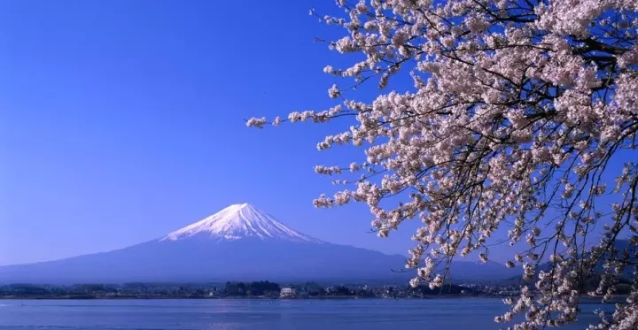 土耳其里拉下跌如何赚钱,土耳其币贬值