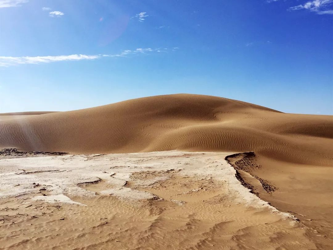 七夕特辑爱你是我不变的承诺,七夕特辑这才是爱情最好的模样