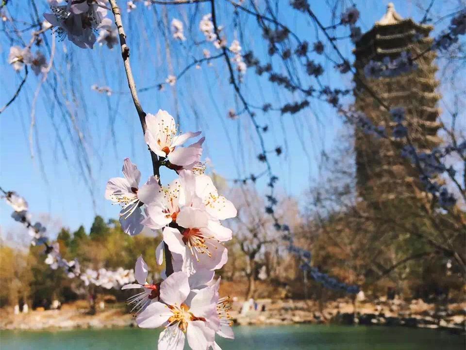 七夕特辑爱你是我不变的承诺,七夕特辑这才是爱情最好的模样