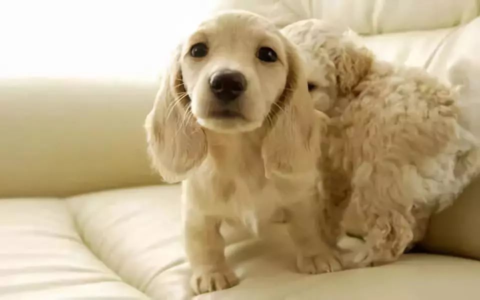 家里潮湿有霉味怎么处理,家里潮湿味道好难闻怎么办