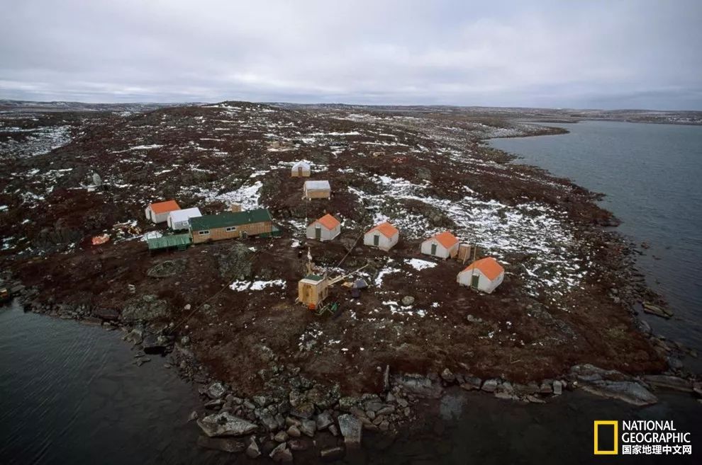 目前地球有没有比钻石还珍贵 (地球大量钻石)