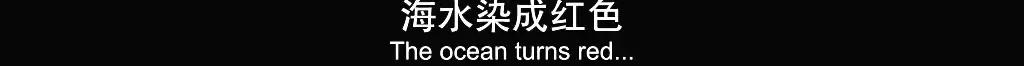 如果没有这部9.6，血腥猎奇的电影还要骗我们多久？