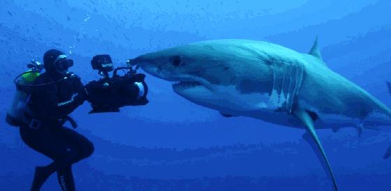 如果没有这部9.6，血腥猎奇的电影还要骗我们多久？