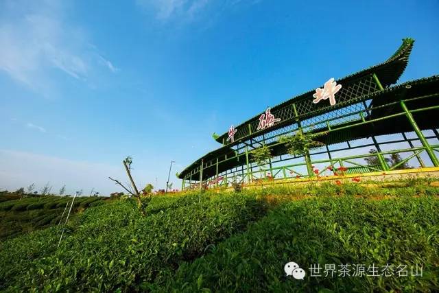 村连村户帮户*党**建引领共致富