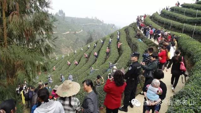 村连村户帮户*党**建引领共致富