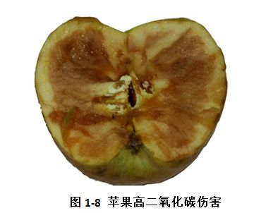 「系列科普读物-果蔬贮藏保鲜技术与设施问答」保鲜特性30问