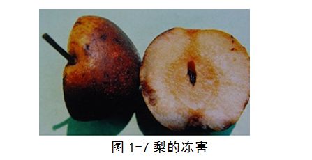 「系列科普读物-果蔬贮藏保鲜技术与设施问答」保鲜特性30问