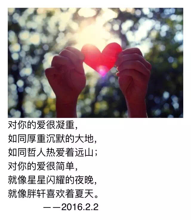 七夕大放送,七夕大放送完整版