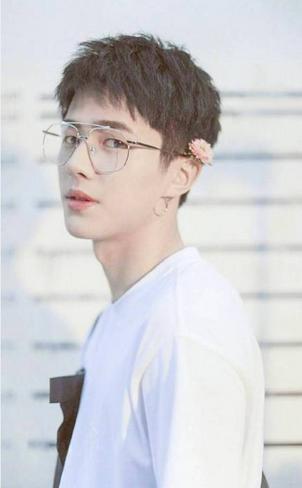 眼镜杀斯文败类男明星,帅气的男明星眼睛杀