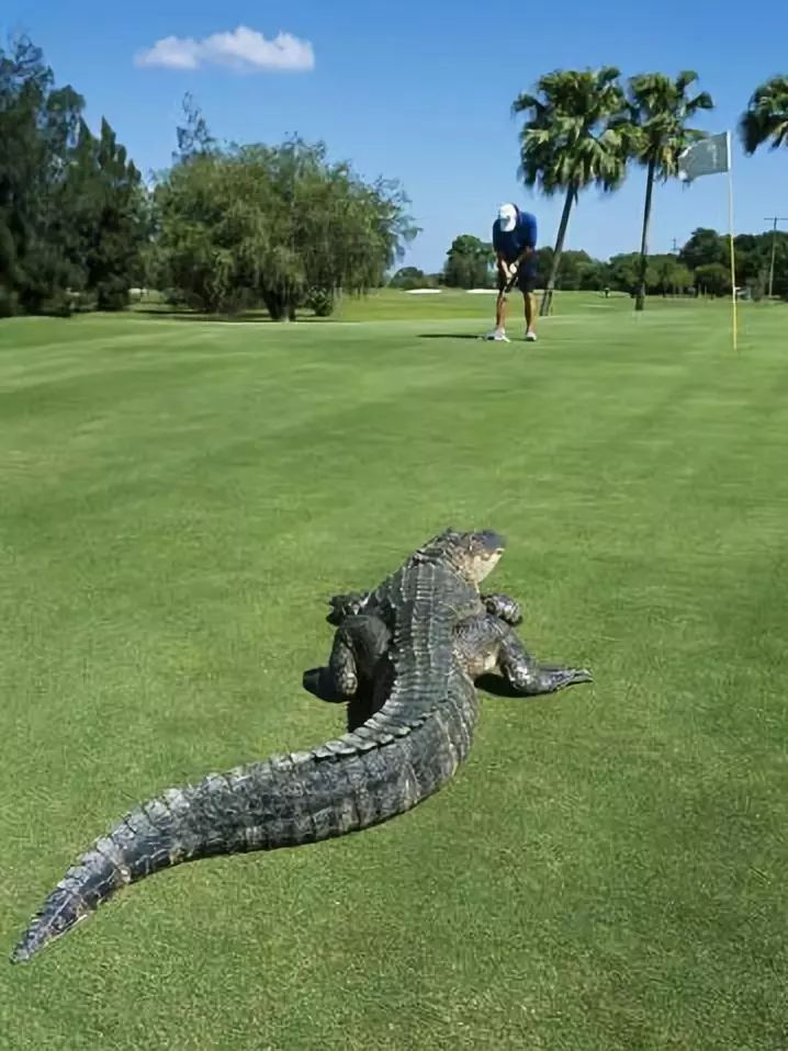 2018年打的比赛,2018快打