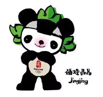 大熊猫为什么成为供品使者,大熊猫为什么受世界欢迎