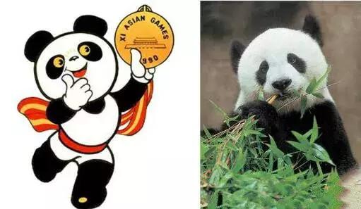 大熊猫为什么成为供品使者,大熊猫为什么受世界欢迎