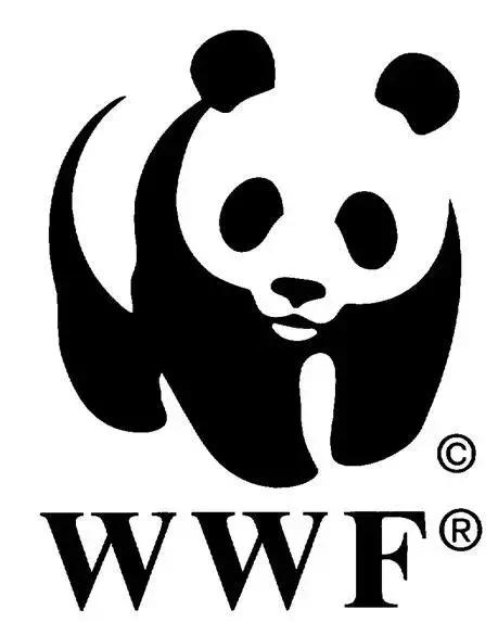 大熊猫为什么成为供品使者,大熊猫为什么受世界欢迎